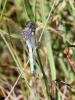 150586 – Photo : D.Mouchené – France (73)