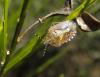 150457 – Photo : Maria Justamond – France (16)