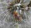 150542 – Photo : Maria Justamond – France (16)