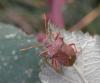 150456 – Photo : Maria Justamond – France (16)