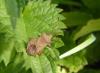 150364 – Photo : Maria Justamond – France (16)