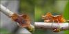 150434 – Photo : Maria Justamond – France (24)