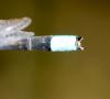 150980 – Photo : clovis – France (15)