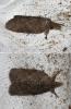 151420 – Photo : Marc Thibault – France (13)