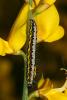 151439 – Photo : Vincent Derreumaux – France (84)