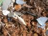 151008 – Photo : CELLE J-Marc – France (83)