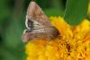 151704 – Photo : MichelG – France (38)