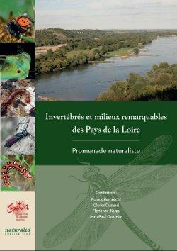 Indéterminé