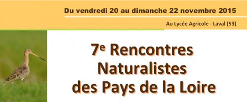 Indéterminé