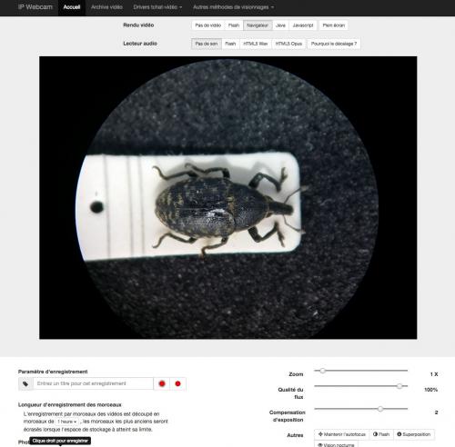 Réf. 153 097 : Smartphone sp.