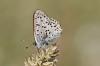 153671 – Photo : Thierry Madigou – France (35)