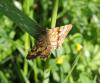 153458 – Photo : florent besson – France (18)