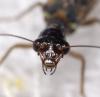 154707 – Photo : André Burgers – Espagne