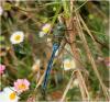 154038 – Photo : Benoit Guillon – Réunion (La)