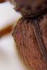 154846 – Photo : Edenis – France (78)