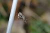 154982 – Photo : Nicolas Alric – France (12)
