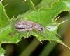154542 – Photo : Philippe Moniotte – Belgique