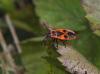 154484 – Photo : Maria Justamond – France (24)