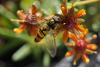 154764 – Photo : Nicolas Zwahlen – Suisse