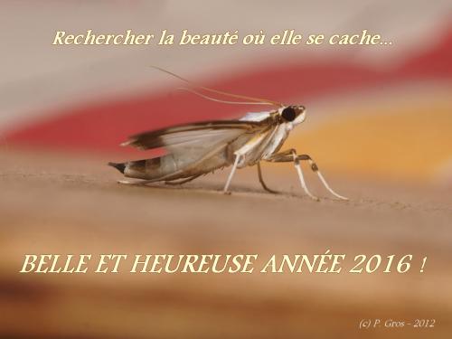 Indéterminé