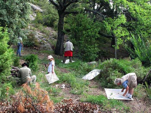 Luberon 2011