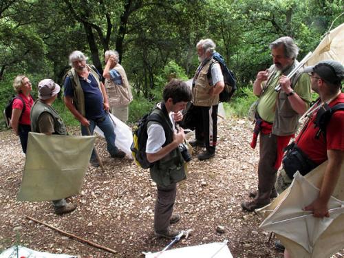Luberon 2011