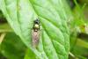 155028 – Photo : Nicolas Alric – France (12)