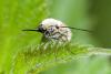 155469 – Photo : Michel Renou – France (91)