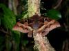 155935 – Photo : RENOULT – Madagascar