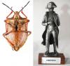 155505 – Photo : Arthropa - Benoit Martha – France (00)