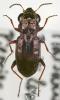 155914 – Photo : Arthropa - Benoit Martha – France (21)