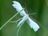 155378 – Photo : Pierre SENGEZ – France (60)