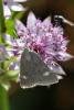 155651 – Photo : Nicolas Zwahlen – Suisse