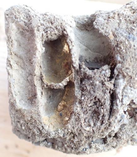 Réf. 156 540 : Osmia bicornis