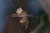 156303 – Photo : D. Martinez – Philippines