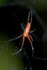 156031 – Photo : D. Martinez – Philippines