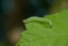 156421 – Photo : monfab – France (72)