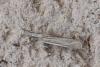 156721 – Photo : Philippe Petit – France (45)