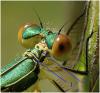 156869 – Photo : Benoit Guillon – France (49)
