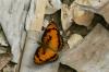 156649 – Photo : Christian Berquer – Mayotte
