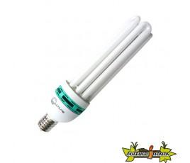 Lumineux lampe