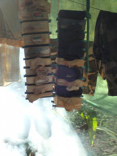 Conservation sp.