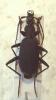 157555 – Photo : Hamon Fanny – Colombie
