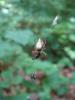157671 – Photo : Lucile Foyart – France (60)