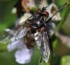 157241 – Photo : Prisca – France (13)