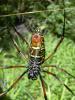157613 – Photo : Christian Berquer – Mayotte