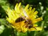 157530 – Photo : Gilles Roux – France (13)