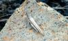 157720 – Photo : Michalke Friedrich – Cap-Vert