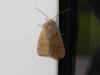 158482 – Photo : florent besson – France (18)