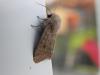 158481 – Photo : florent besson – France (18)